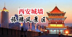 啊啊啊干我网站视频中国陕西-西安城墙旅游风景区