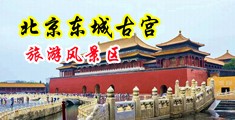 污后入蜜臀乳逼网中国北京-东城古宫旅游风景区